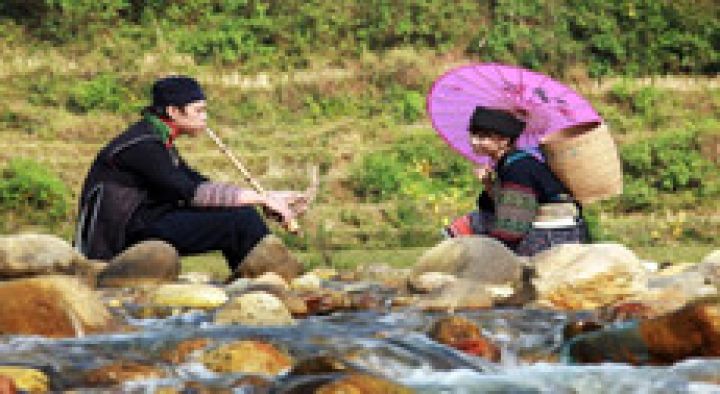 Nhân hòa test đăng bài viết